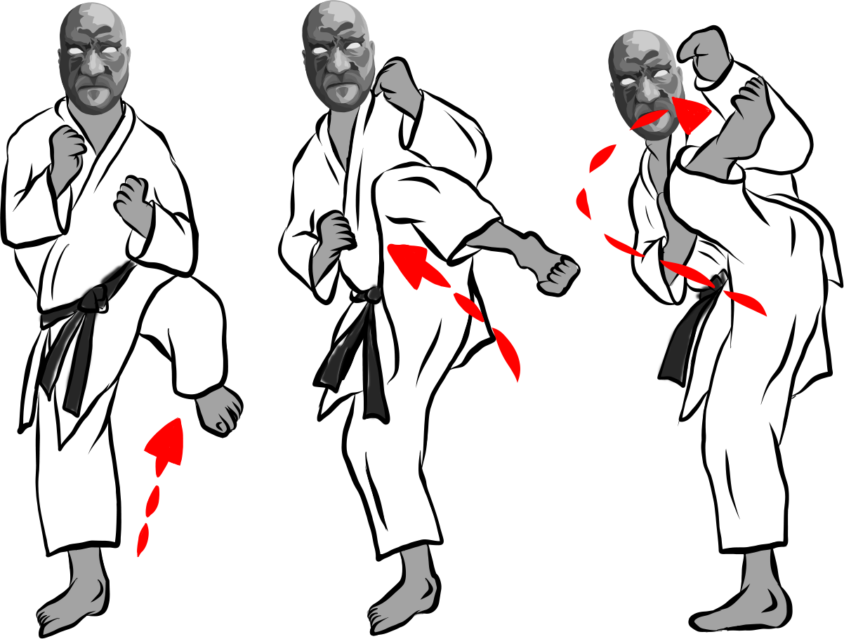 Ura Mawashi geri (Reverse roundhouse kick)